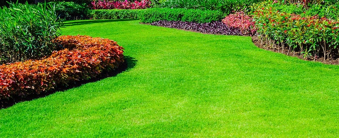 Landscaping South Holland IL