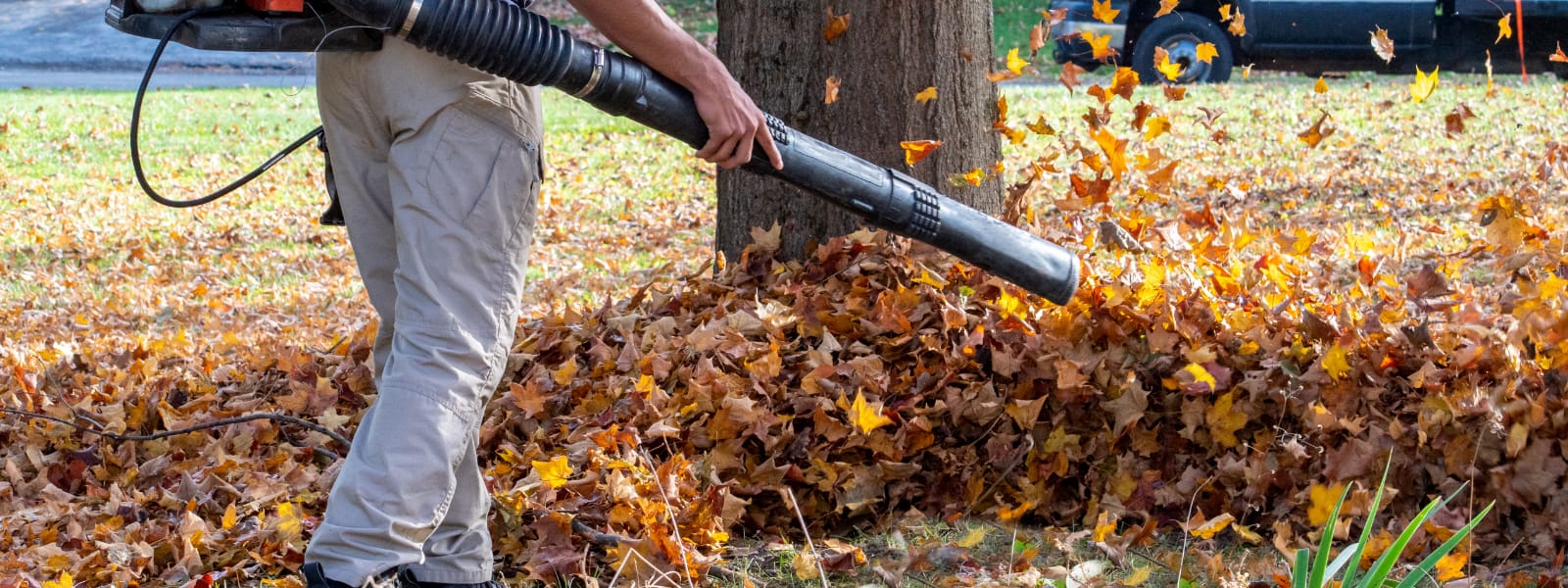 Fall Cleanup East Chicago IN