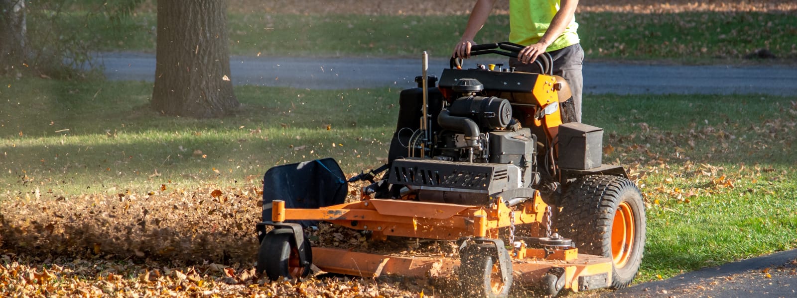 Fall Cleanup Highland IN