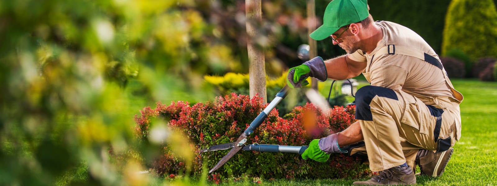 Landscaper East Chicago IN