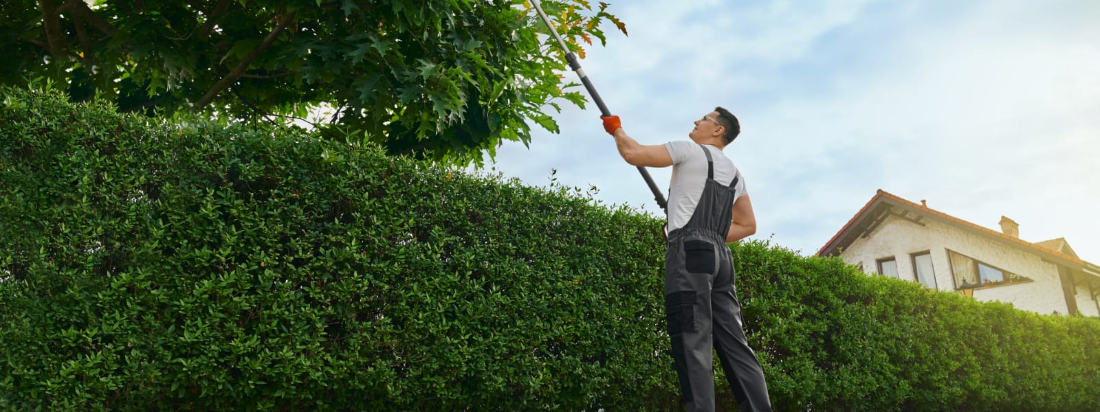 Tree Trimming Highland IN